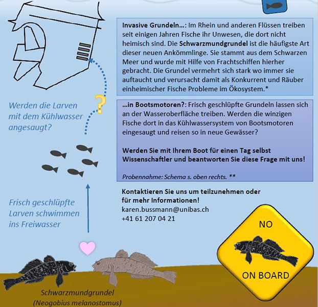 flyer_c